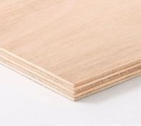 Eucalyptus Ply
